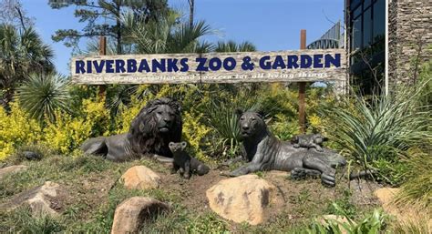 Riverbanks zoo columbia sc - Riverbanks Zoo & Garden :: Columbia, South Carolina. DAYS. HOURS. MINUTES. SECONDS. Join us in our yearlong celebration as we share our favorite memories! VISITOR ALERTS: Temporary Closures: Sky-High Safari will be closed through Tuesday, February 27th. Woodland Walk and River Trails are closed due to City …